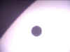 Venus01.jpg (3862 bytes)